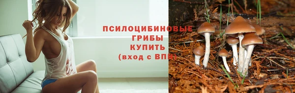 spice Алексин