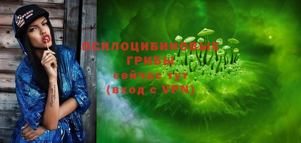 spice Алексин