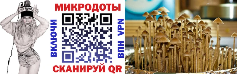 Псилоцибиновые грибы ЛСД kraken tor Первоуральск закладка