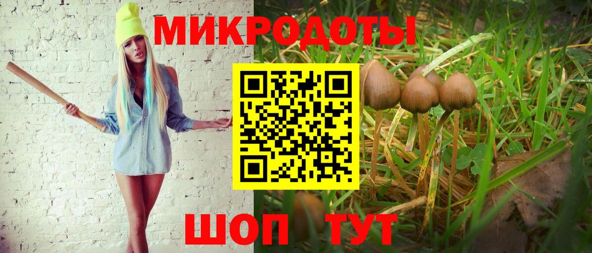 Псилоцибиновые грибы Psilocybe Первоуральск